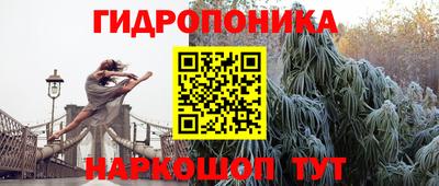 ECSTASY Волгодонск