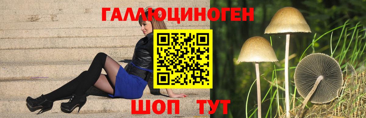 Галлюциногенные грибы Cubensis Жигулёвск